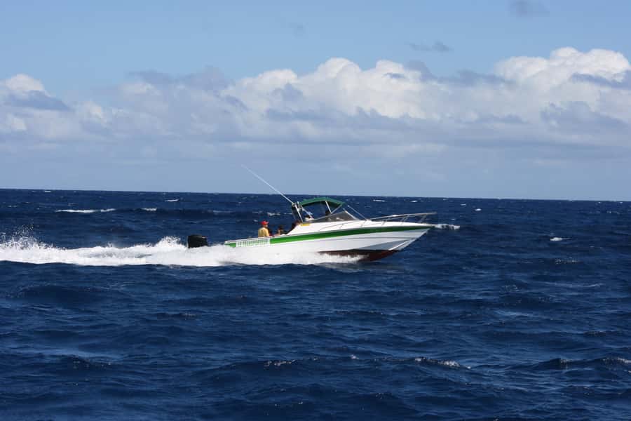 Grand Baie: Three Islands Private Boat Trip and Beach BBQ - Snorkeling Around Coin de Mire