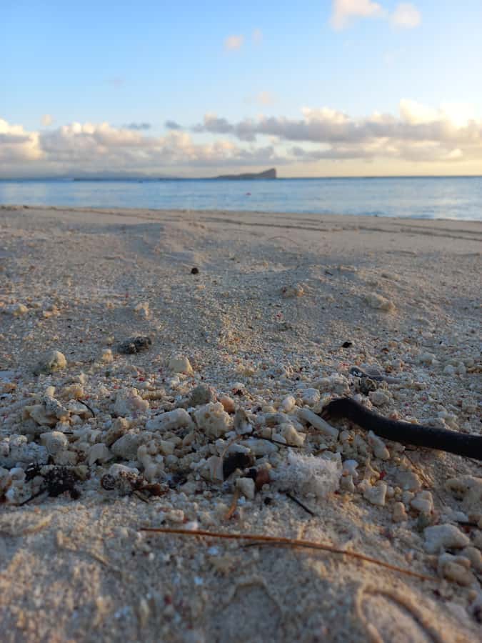 Grand Baie: Three Islands Private Boat Trip and Beach BBQ - Practical Tips for a Better Day