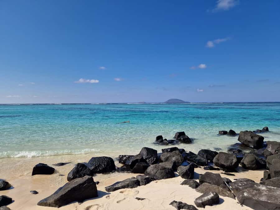 Grand Bay: Catamaran Cruise to Flat Island with BBQ Lunch - What to expect from the BBQ lunch