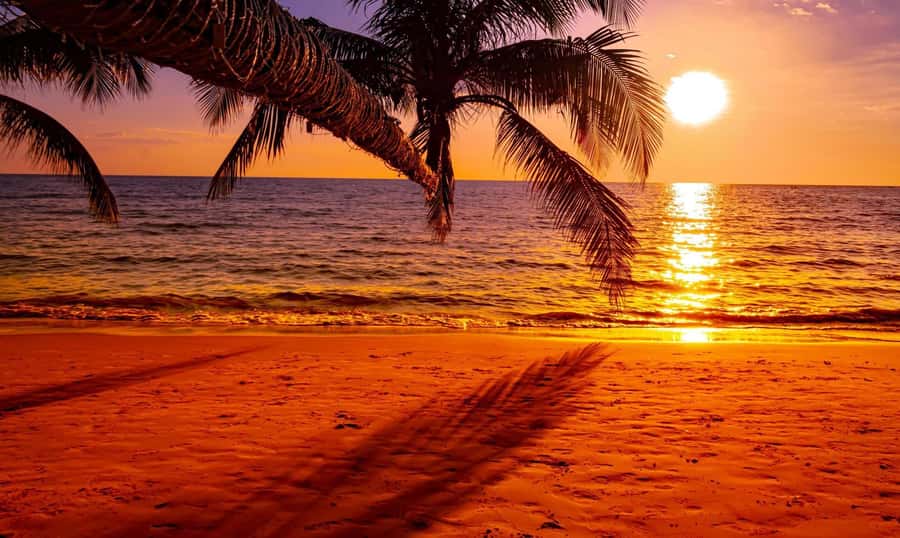 Grand Bay: Honeymoon/Lovers Sunset Tour with Romantic Dinner - How private is the experience?