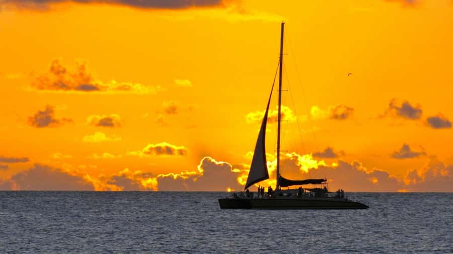 Grand Bay: Honeymoon/Lovers Sunset Tour with Romantic Dinner - Practical timing and planning tips