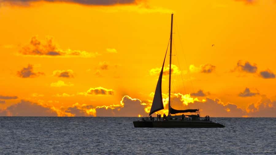 GrandBay-Sunset Cruise with Event Dinner for Private Groups - Why this private cruise works best for groups