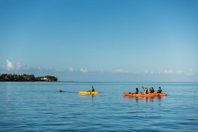 Guided Kayak 2 Hours Activity with Dolphins - Paddling from shore into Tamarin Bay