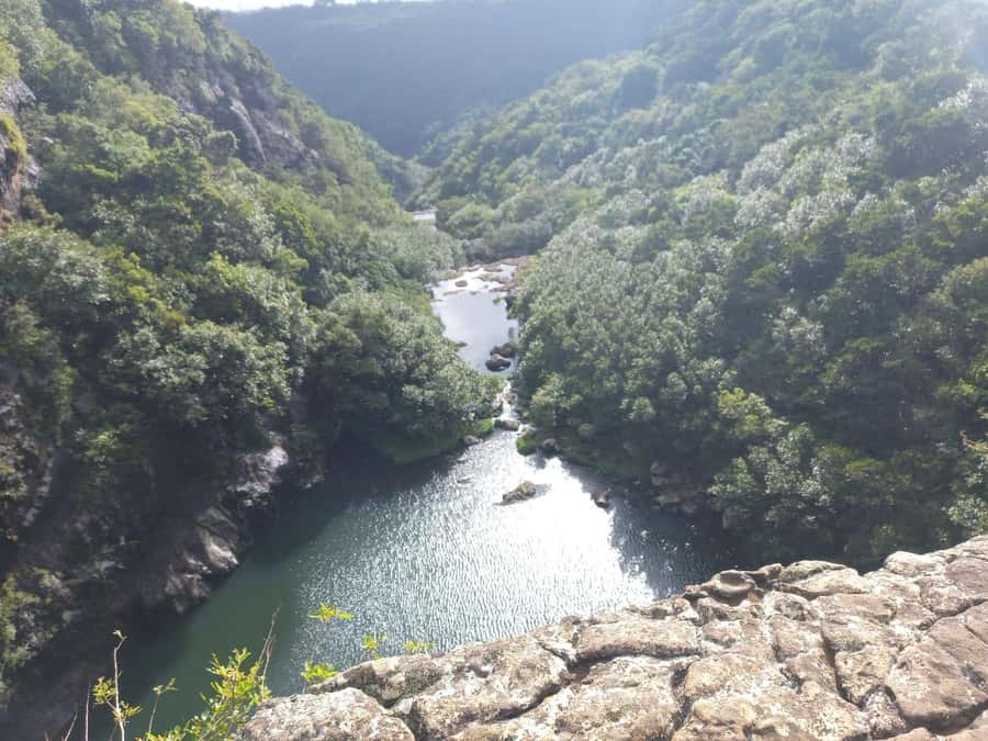 Henrietta: Hiking at the Tamarind Waterfalls - Across the 400-meter sugar cane approach