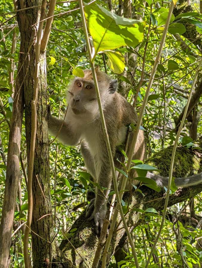 Henrietta: Hiking at the Tamarind Waterfalls - How difficult is the hike?