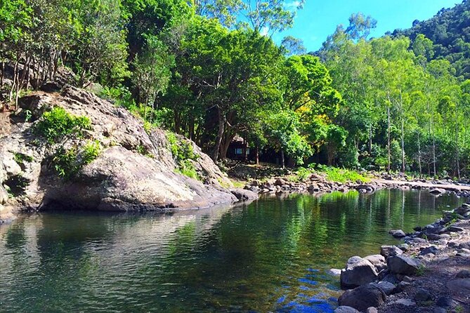 Hiking the Black River Gorges: Full-day with Lunch and Transfer - Pickup from your hotel and the morning start