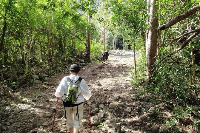 Hiking the Black River Gorges: Full-day with Lunch and Transfer - Who will enjoy this hike most