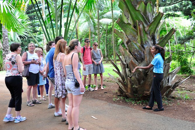 Historical Guided Day Tour : City - Sugar World - Botanical Garden - A full day that connects several sides of Mauritius