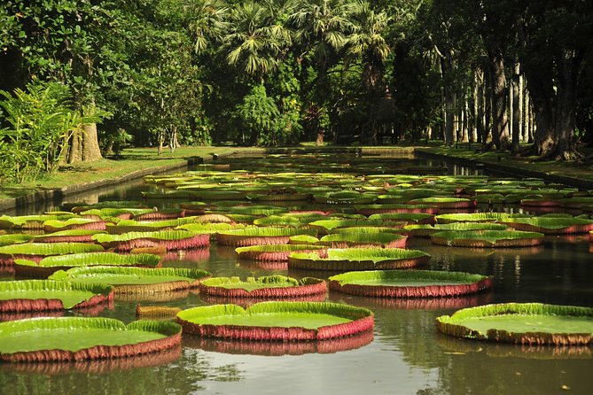 Historical Private Guided Tour, City-SugarWorld-Botanical Garden - Min.2 persons - Key points at a glance