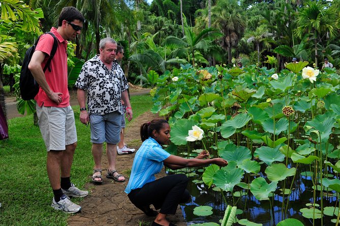 Historical Private Guided Tour, City-SugarWorld-Botanical Garden - Min.2 persons - Three hours at Caudan Waterfront in Port Louis