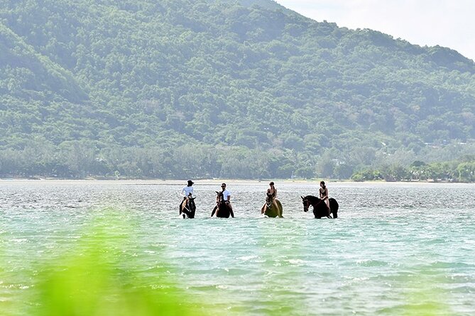 Horse Riding experience by Haras du Morne - Starting at Haras du Morne on Mauritius’s southwest coast