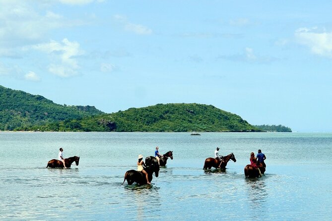 Horse Riding experience by Haras du Morne - What the feedback tells me about the day