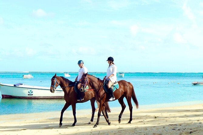 Horse Riding experience by Haras du Morne - What Le Morne adds to the experience