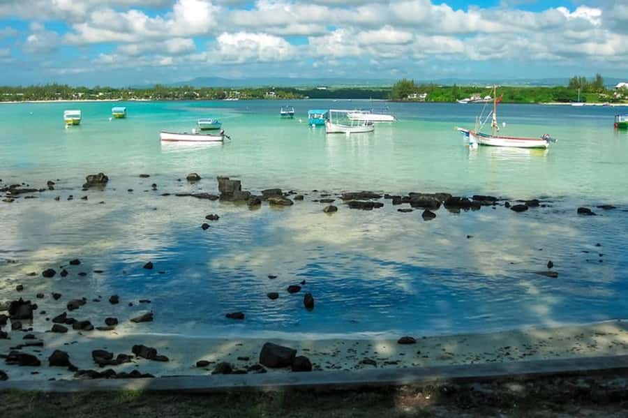 Ile aux Aigrettes Reserve & Blue Bay Glass Bottom Boat - Why Ile aux Aigrettes matters