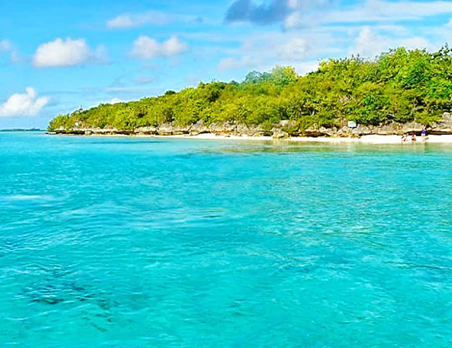 Ile aux Aigrettes Reserve & Blue Bay Glass Bottom Boat - Is $137 a fair price?