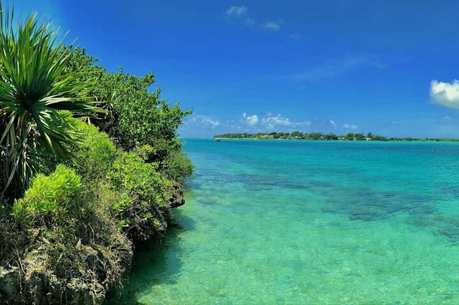 Ile aux Aigrettes Reserve & Blue Bay Glass Bottom Boat - The boat from Pointe Jérome