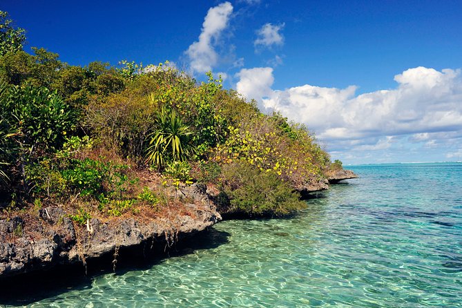 Ile aux Aigrettes - Tea Route - Gris Gris Private Guided Tour (Min. 2 persons) - Key points before you book
