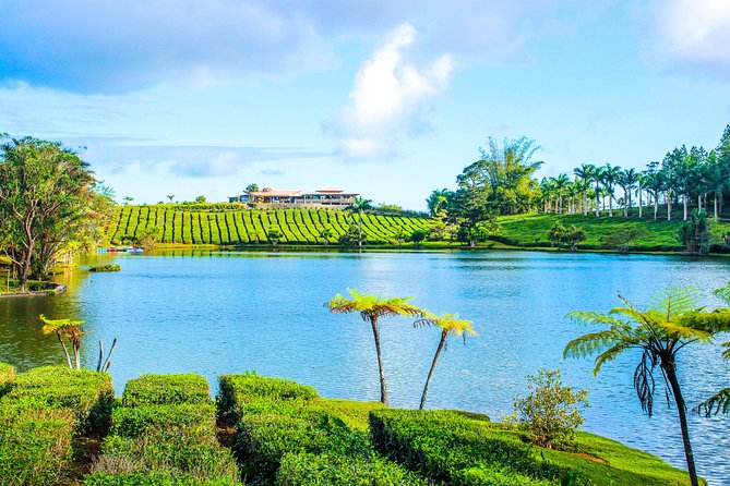 Ile aux Aigrettes - Tea Route - Gris Gris Private Guided Tour (Min. 2 persons) - Who should choose this tour?