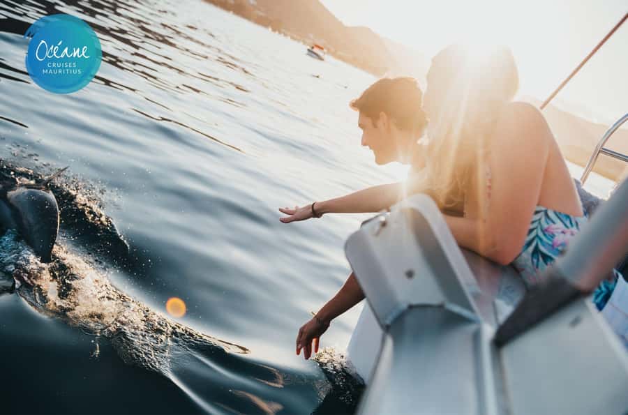 Ile Aux Bénitiers : Private Catamaran Cruise & Gourmet Lunch - The highlights at a glance