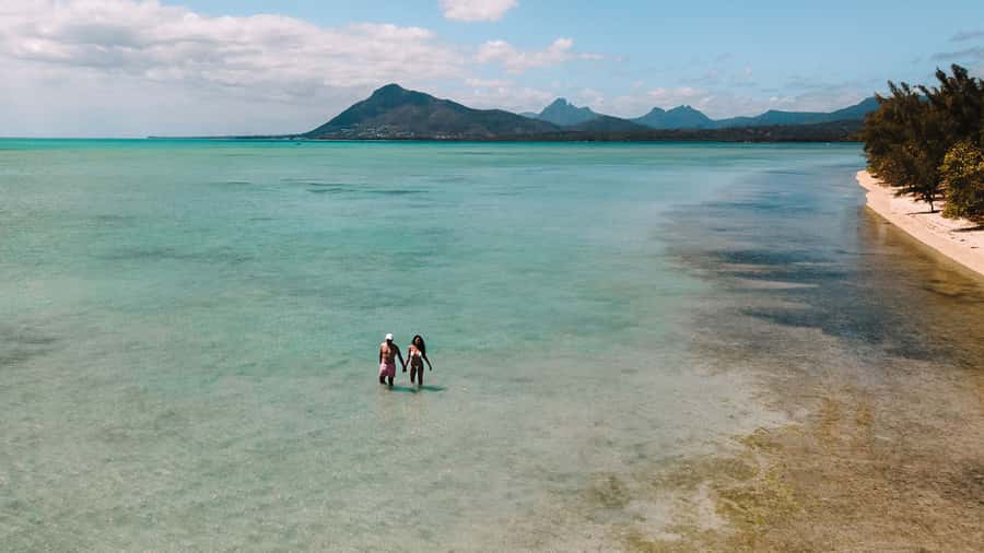Île aux Bénitiers: Snorkeling w/Dolphins Boat Tour & Lunch - Snorkeling around Crystal Rock and the reef