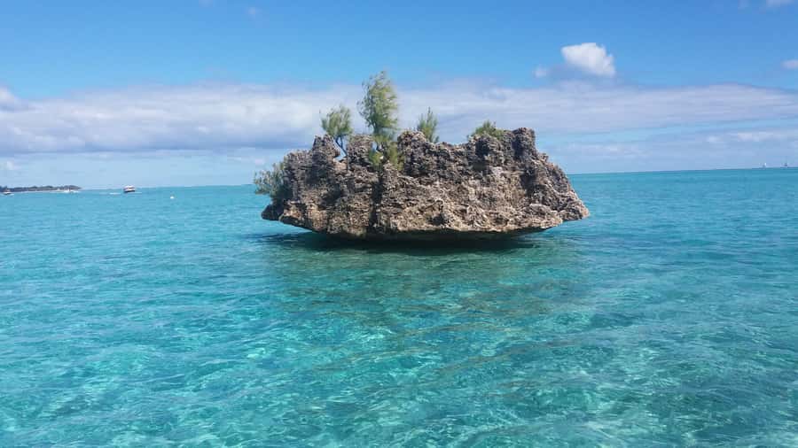 Île aux Bénitiers: Snorkeling w/Dolphins Boat Tour & Lunch - Should you book the Île aux Bénitiers tour?