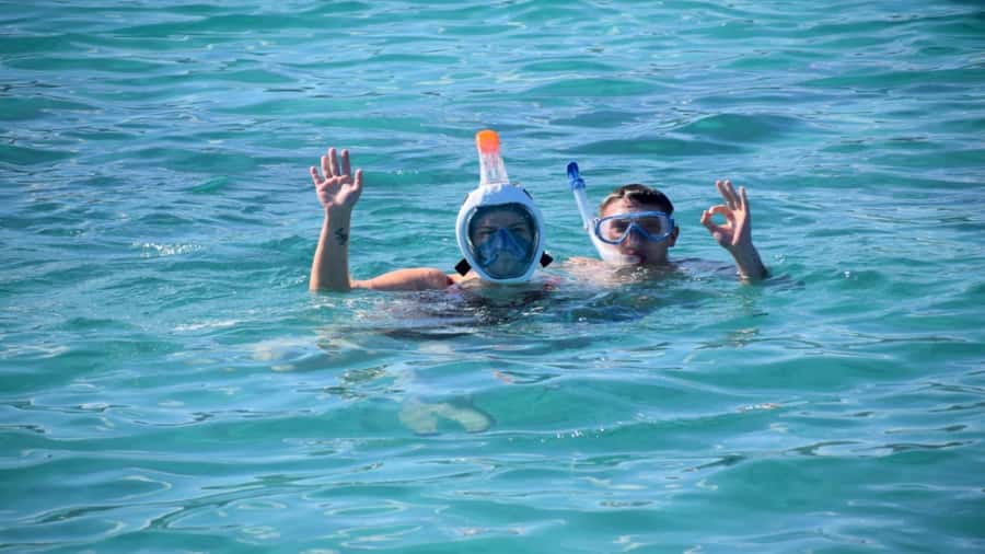 Île aux Bénitiers Snorkeling with Dolphins + Seafood Lunch - Key points to know before booking