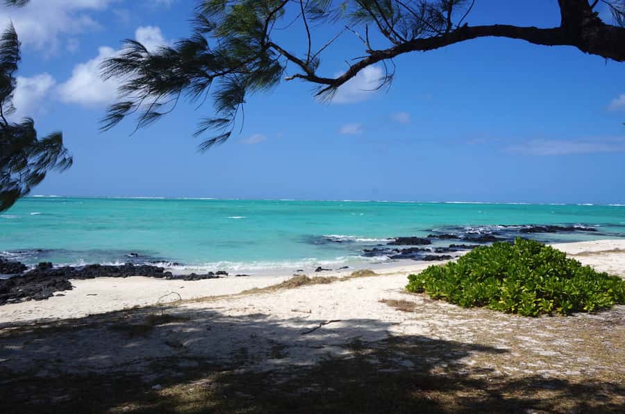 Ile Aux Cerfs Catamaran Cruise sailing from Mahebourg - From Pointe Jérôme to a full day at sea