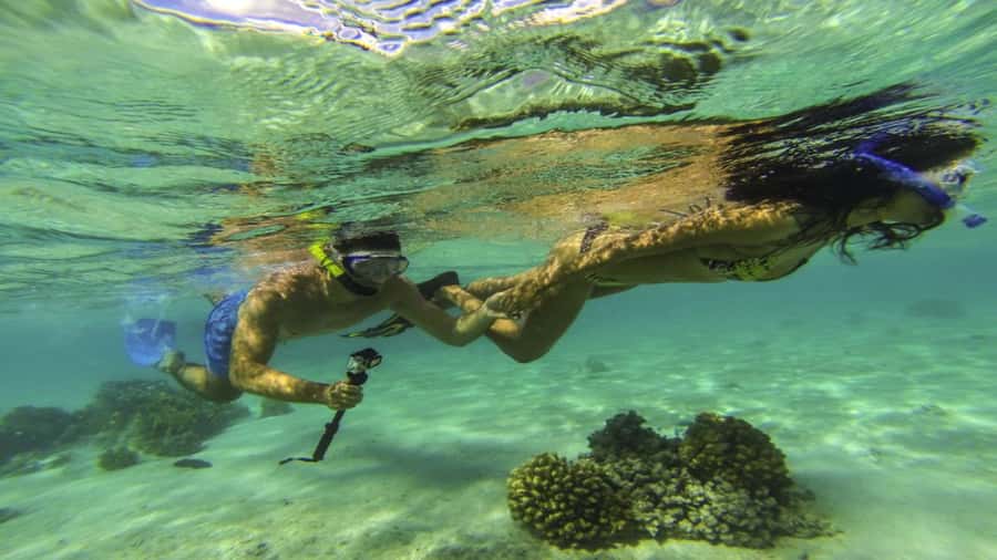 Ile Aux Cerfs Catamaran Cruise & Waterfalls- Lunch & Drinks - Snorkeling in the clear lagoon