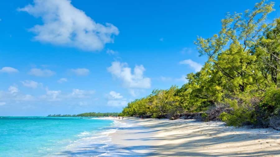 Ile Aux Cerfs Catamaran Cruise & Waterfalls- Lunch & Drinks - The crew makes the difference