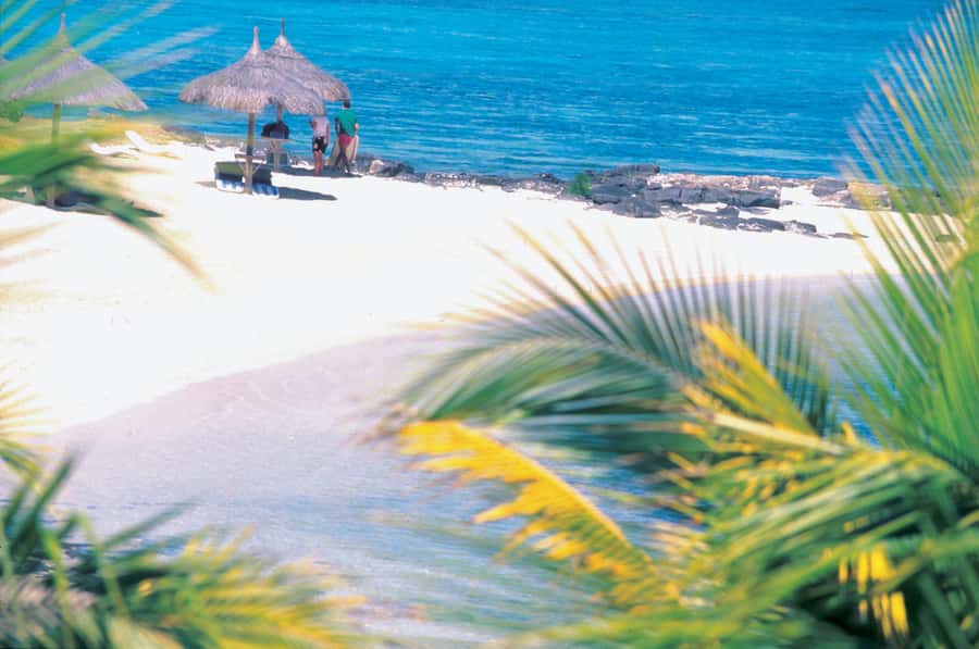 Ile aux Cerfs: Island & Waterfall Speedboat Tour with Lunch - Beach Time On Ile aux Cerfs