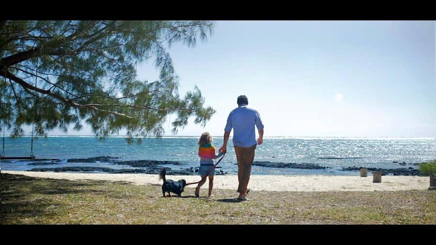 Ile aux cerfs: Private picnic, waterfall, bbq beach lunch - Ile aux Cerfs, with room to escape the main beach