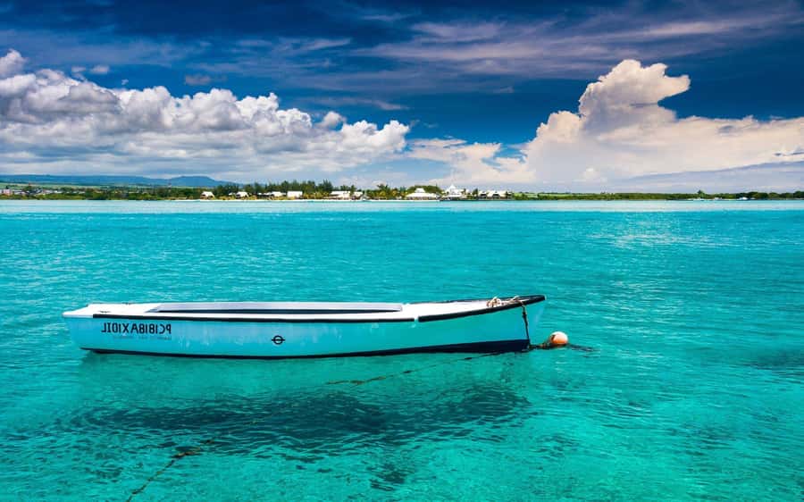 Ile aux cerfs: Private picnic, waterfall, bbq beach lunch - Grand River South East and its waterfall