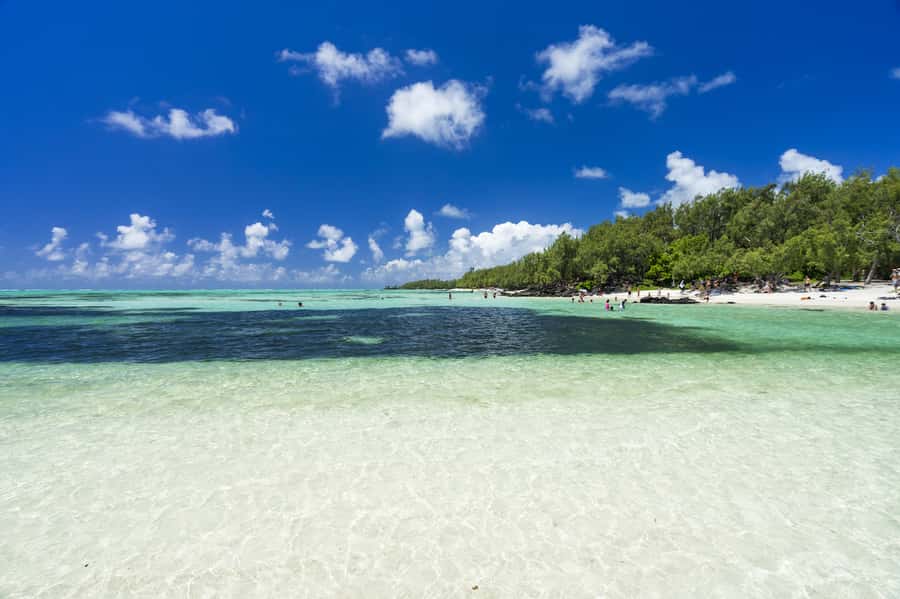 Ile aux Cerfs Speedboat Trip & Transport: Private or Shared - The speedboat ride and Grand River Southeast Waterfall