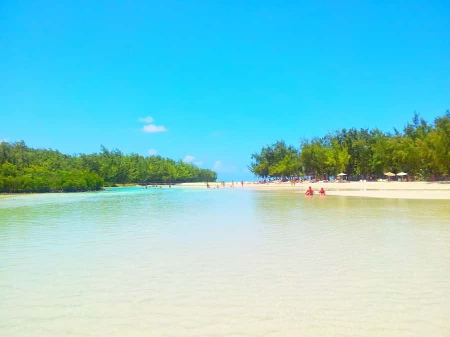 Ile aux Cerfs Speedboat Trip & Transport: Private or Shared - Useful planning tips before you go