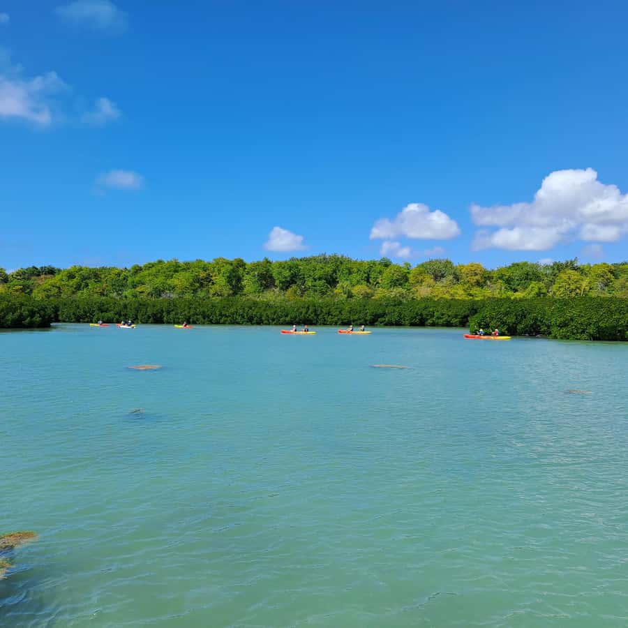 Ile d Ambre Kayaking - What makes Ile d’Ambre different from a standard boat trip