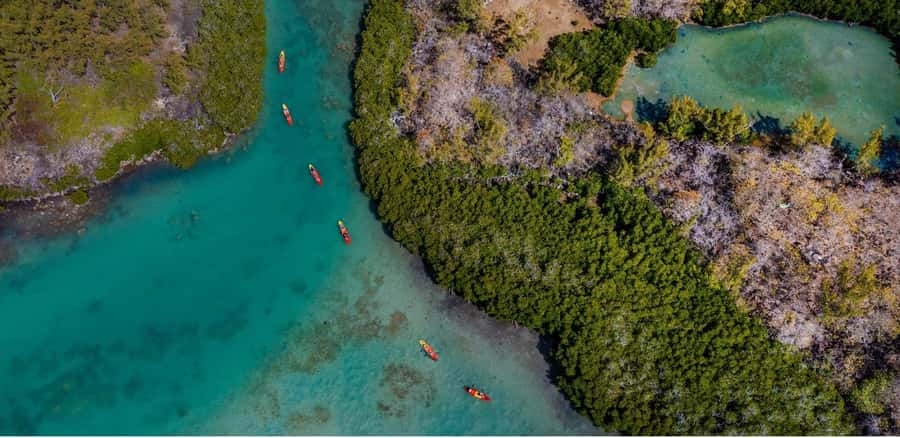 Ile d Ambre Kayaking - Local cakes and coffee at the kiosk