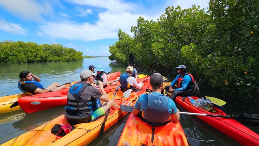 Ile d Ambre Kayaking - Guides, languages, and group size