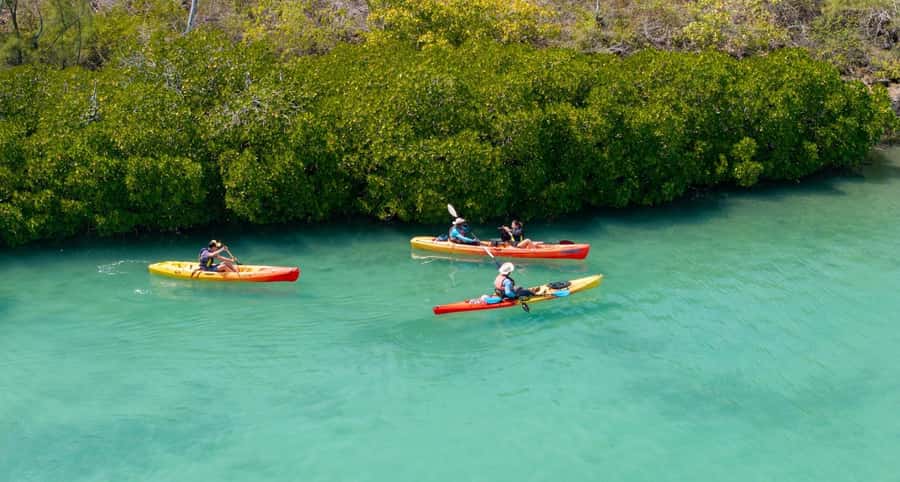 Ile d Ambre Kayaking - What the $64 price really covers