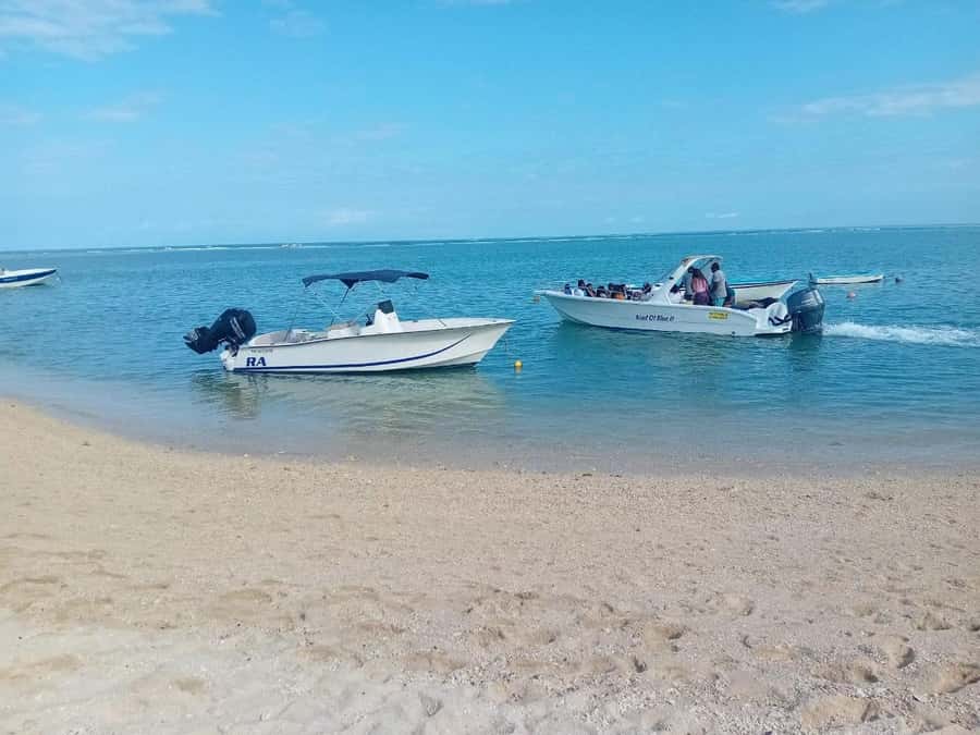 La Preneuse: Dolphin Watching and Snorkeling Speedboat Tour - The lagoon snorkel and its small underwater surprises