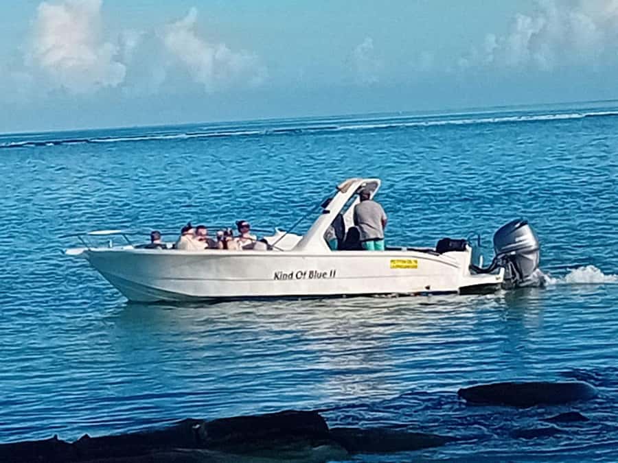 La Preneuse: Dolphin Watching and Snorkeling Speedboat Tour - How the crew shapes the experience
