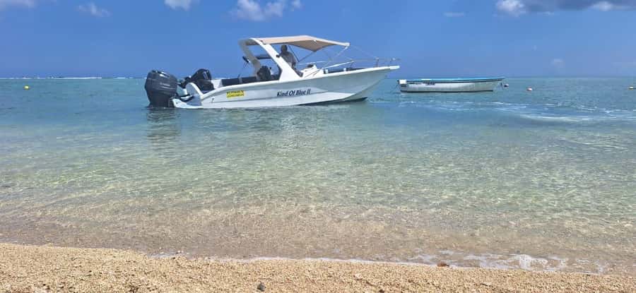 La Preneuse: Dolphin Watching and Snorkeling Speedboat Tour - What $58 buys you in two hours