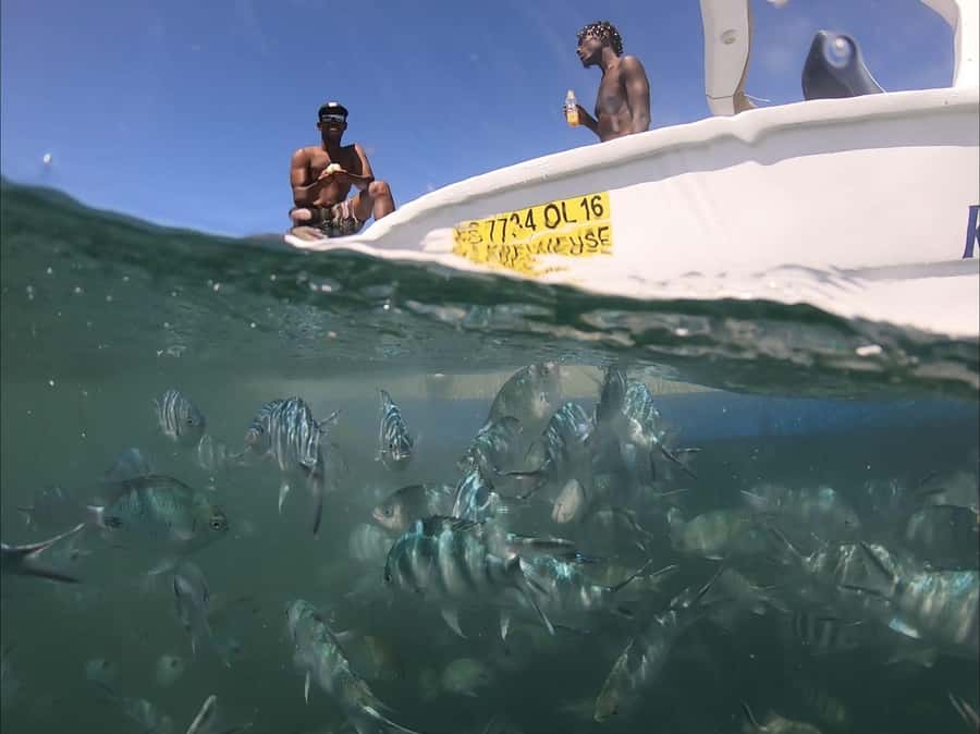 La Preneuse: Dolphin Watching and Snorkeling Speedboat Tour - The 20-minute speedboat ride to open water