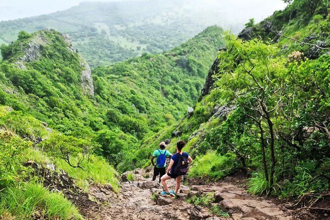 Le Morne Brabant Hike A Journey Through History - Meeting at Haras Du Morne