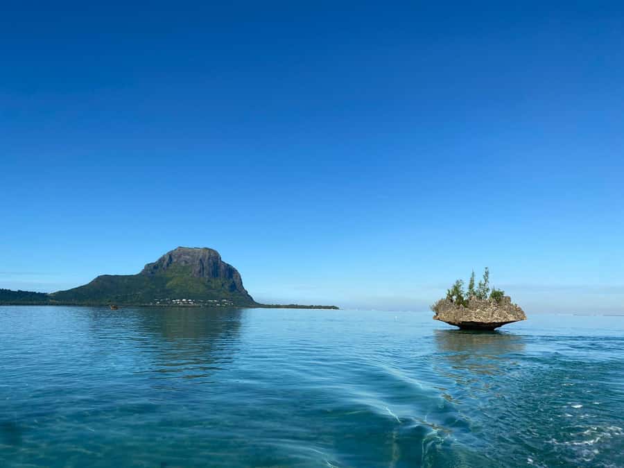 LE MORNE DOLPHINS SUNRISE TRIP - FAQ