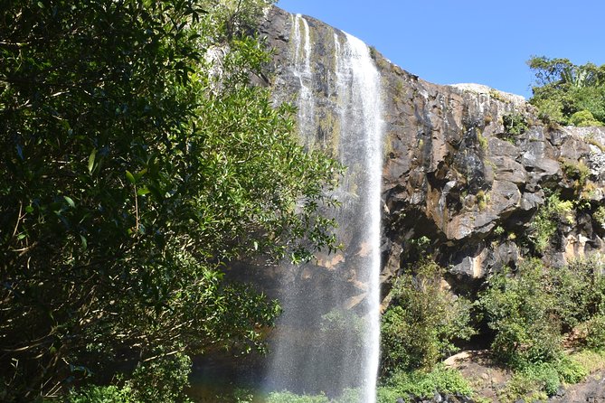 Les septs Cascades Tamarind Falls - What the guides add to the walk