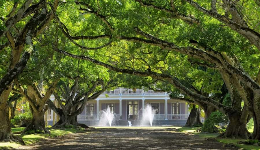 local Market,Botanical garden,Rum tasting & authentic Lunch - Why this northern Mauritius route works