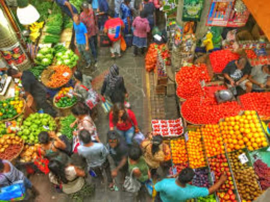 local Market,Botanical garden,Rum tasting & authentic Lunch - Château de Labourdonnais: plantation life and a rum tasting