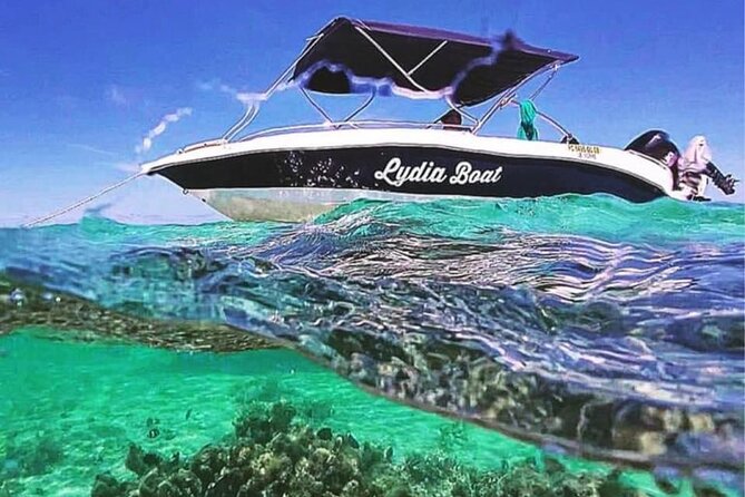 Lydia Boat Mauritius :Private boat tour:Whales&Dolphins encounter - Key points at a glance