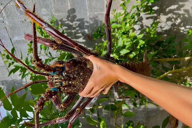 Lydia Boat Mauritius :Private boat tour:Whales&Dolphins encounter - Fresh oysters, sea urchins, and the seafood barbecue