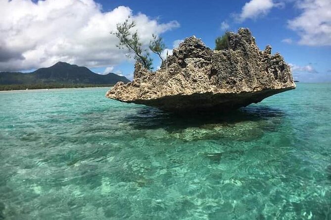 Lydia Boat Mauritius :Private boat tour:Whales&Dolphins encounter - The changing value of Benitier Island